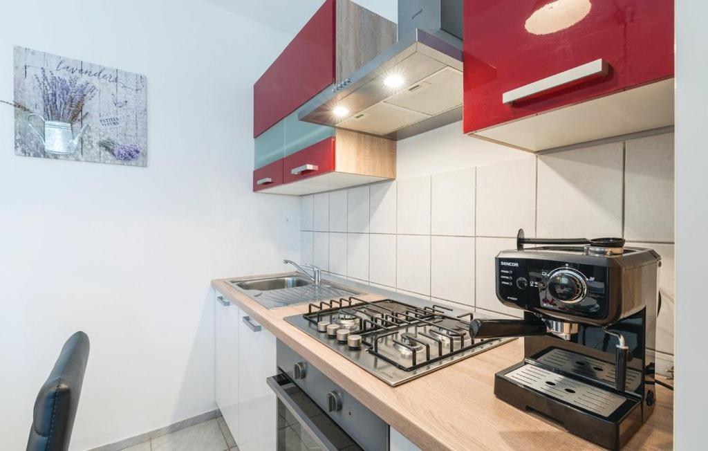 Lucija Holiday home *
